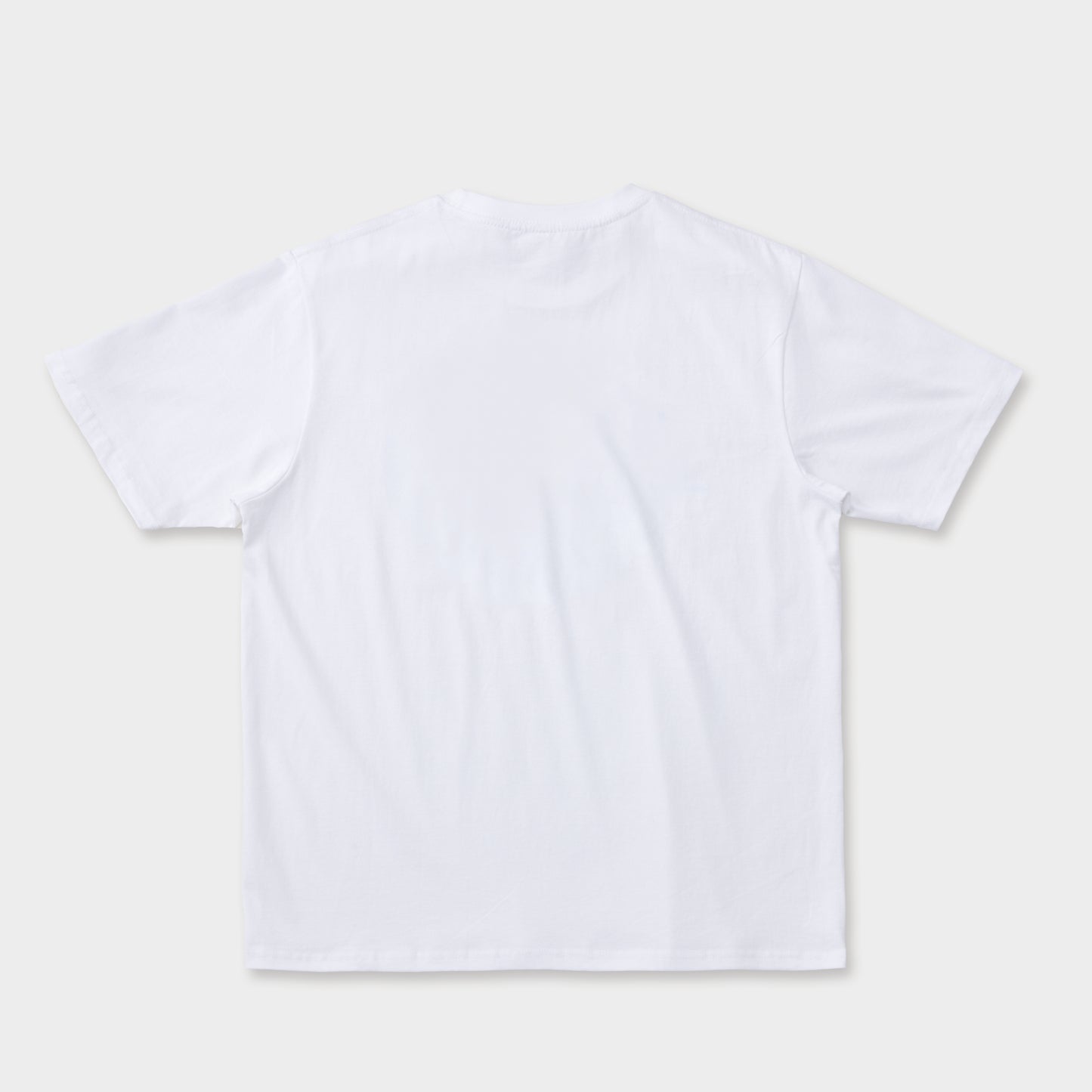 GLOBE LOGO PRINT T-SHIRT WHITE